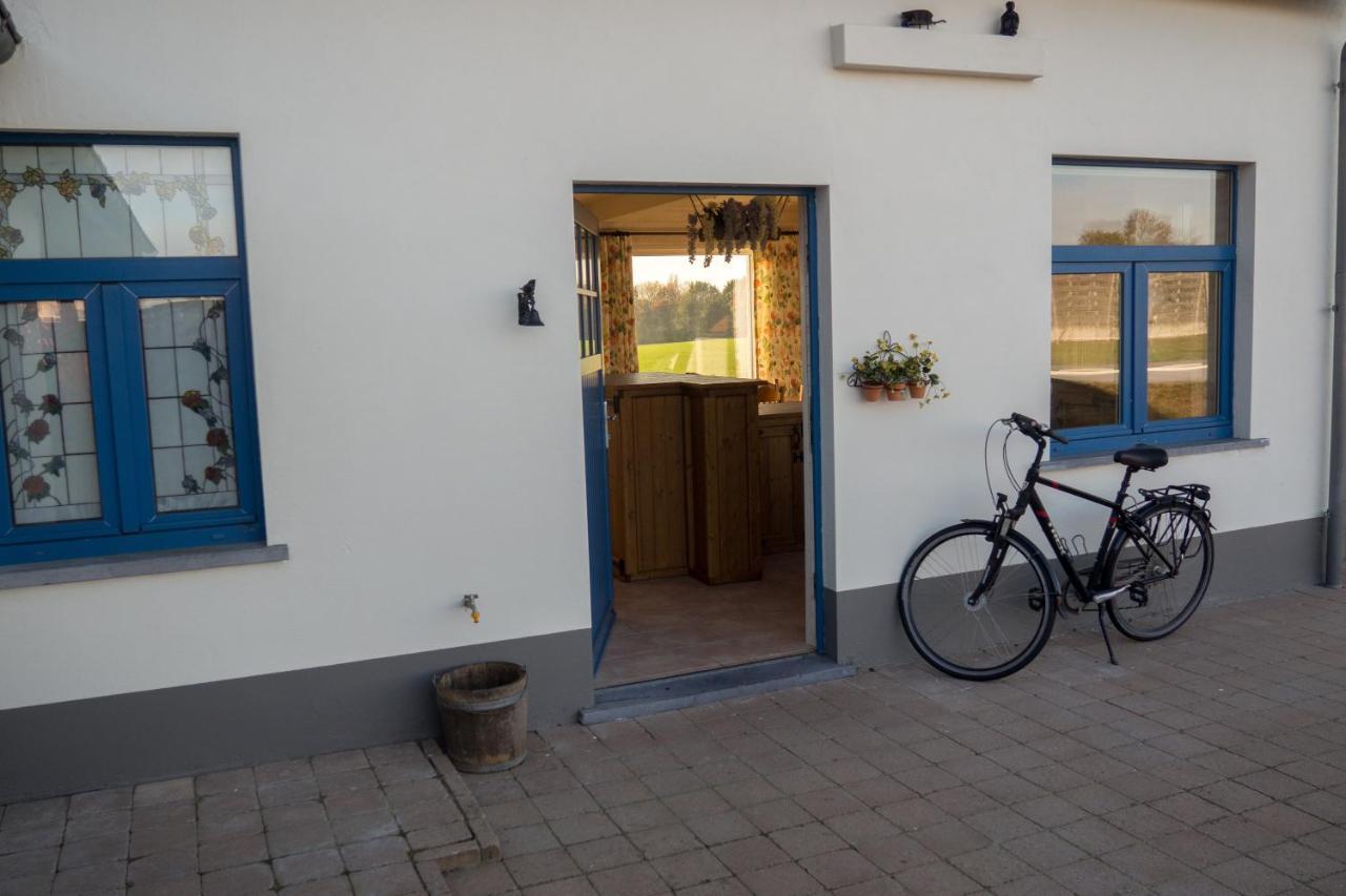 Vakantiewoning De Wilg - Rustig Gelegen Geraardsbergen Esterno foto
